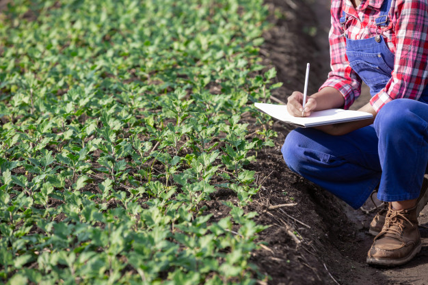 writing goals for Organic Farm